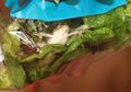 Hii... Ada Katak, Kodok, Kadal, dan Kelelawar Ditemukan di Kemasan Salad, Kok Bisa?