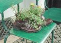 Ada yang dari Bahan Daur Ulang, Begini Uniknya Ragam Pot Tanaman!