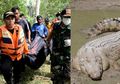 Detik-detik Warga Tombak Buaya Penerkam Tubuh Andri, Petani Asal Buton yang Tewas Digigit Sang Predator