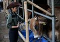 Cara Beli Hewan Qurban Online di Aplikasi Gojek, Bisa Pakai GoPay Lho!