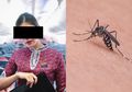 Pramugari Lion Air Alami Pendarahan Hebat dan Kegagalan Organ Akhirnya Meninggal, Karena Nyamuk