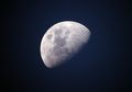 Ilmuwan Ungkap Satu-satunya Makhluk yang Mungkin Hidup di Bulan