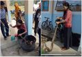 Viral Ibu Guru di Sulbar Taklukan Ular Piton yang Menyusup ke Lingkungan Sekolah, Netizen Dibuat Takjub