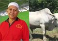 Kisah Sobri Jagal Senior Asal Pangkalpinang, 19 Tahun Menyembelih Hewan Kurban Ceritakan Langsung Pengalamannya Berhadapan dengan Sapi Bertenaga Besar