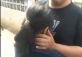 Video Viral, Anak Ini Menangis Sejadi-jadinya Larang Ayahnya Ikut Menyembelih Sapi, Dia Takut Nanti Ketukar