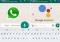 Makin Canggih! Cara Google Asisstant Baca dan Balas Pesan WhatsApp