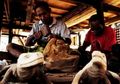 Kisah Suku Komodo, Suku Asli Pulau Komodo Tapi Dianggap Penduduk Liar dan Terancam Direlokasi