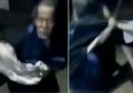 Video Kakek Jadi Bahan Bullyan Kelompok Pemuda di Lampung Viral, Polisi Ikut Turun Tangan