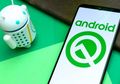 Google Hadirkan Game Tersembunyi di Android Q, Apa itu?