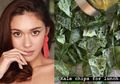 Nana Mirdad Doyan Banget Konsumsi Sayur Kale, Ternyata Ini Segudang Manfaatnya yang Tak Terduga!