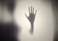 Iseng-iseng Cari Hantu di Rumah Kosong, Sekelompok Pemuda Pemburu Hantu ini Malah Lari Tunggang Langgang Usai Buka Kulkas, Ternyata Bukan Hantu yang Buat Mereka Ketakutan Tapi Ada Hal Mengerikan ini!