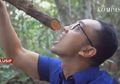 Inilah Video Tanaman Bajakah Temuan Anak SMA yang Diyakini Bisa Sembuhkan Kanker