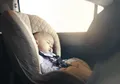 Pengasuhnya Salah Memakaikan 'Car Seat', Balita Ini Alami Mati Otak