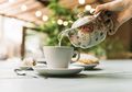 Bukan Hanya Kopi, 7 Minuman Ini Bisa Ampuh Menghilangkan Rasa Ngantuk!