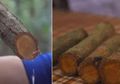 Akar Bajakah Belum Tepat Disebut Obat Kanker, Ini Ciri Berita Hoax Kesehatan