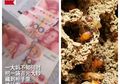 Apes! Nenek ini Simpan Uangnya yang Berjumlah Rp 20 Juta di Lemari, Malah Rusak Dimakan Rayap!