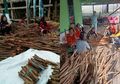 Viral Tanaman Bajakah Mampu Sembuhkan Tumor Ganas, Seorang Penderita Kanker Ungkap Penyesalannya Memakai Obat Herbal Untuk Penyakitnya, Dokter Ahli: Nggak Bisa Main Sembarangan!