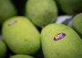 Makan Buah Itu Sehat, Tapi 6 Buah Ini Jangan Dijadikan Menu Sarapan