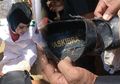 Kisah Haru Pasukan Paskibra Pembawa Baki di Morowali Utara, Tetap Jalankan Tugas Meski Tahan Sakit Lantaran Sepatu Tertembus Paku Sepanjang 7 Centimeter