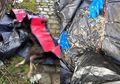 Diberi Makan dengan Sosis Beracun dan Ditusuk Hingga Mati oleh Pemiliknya, Kondisi Bangkai Anjing Ini Mengenaskan Saat Ditemukan