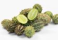 Ternyata, Seperti Inilah Bentuk Asli Buah dan Sayur Sebelum 'Dijinakkan' Manusia, Bisakah Anda Menebaknya?
