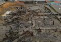 Sampel Kotoran Kuno Ungkap Tubuh Penduduk Pompeii Inggris Dipenuhi Cacing Pemakan Ginjal