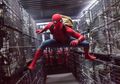 Sony Bakal Rilis Film Spin-off Spider-Man Tahun Depan, Kira-kira Apa Tuh?