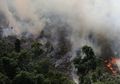 Satelit Luar Angkasa Ungkap Tingkat Polusi Udara Akibat Kebakaran Hutan Amazon