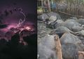 Viral Penggembala Kerbau di Sumatera Tewas Seketika Bersama 19 Hewan Peliharaannya Usai Tersambar Kilat, Mbak You Sebelumnya Sempat Ramal Akan Adanya Badai Petir Luar Biasa di Tahun 2019