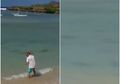 Heboh di Media Sosial Puluhan Ekor Hiu Muncul di Pantai Nusa Dua Bali, Ternyata Ini Pemicunya