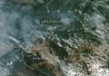Citra Satelit NASA Tangkap Pemandangan Mengerikan Kebakaran Hutan Amazon