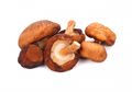 Jamur Shiitake dan Lima Manfaatnya Bagi Kesehatan Tubuh