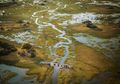 Delta Okavango Afrika Yang Kini Terancam