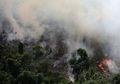 Langit Menghitam Sementara Api Terus Berkobar, 'Sebelum Terbakar, Langit di Amazon Tak Pernah Sehitam Ini'