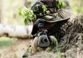 Kini Dikenal Sederet Pasukan Khusus Terbaik di Dunia, Ternyata Ini Awal Mula Digunakan Tentara Rahasia dalam Kemiliteran, Mengubah Sejarah!