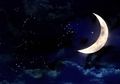 Gambarkan Ada Unicorn dan Humanoids Bersayap di Bulan, Kisah 'The Great Moon', Hoaks dari Surat Kabar Tahun 1835