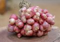 Bukan Cuma Jadi Penyedap Masakan, Inilah 7 Khasiat Bawang Merah untuk Kesehatan Tubuh