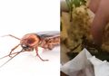 Dapet Tambahan Daging, Niat Mau Makan Siang, Pria Ini Malah Dapat Bonus Kecoa di Nasi Padangnya