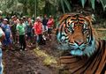 Mengerikan, Seorang Pria di Riau Tewas Diterkam Harimau saat Mandi, Kondisi Jenazahnya Mengenaskan