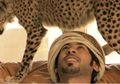 Fakta Memilukan Cheetah, Dibeli Orang Kaya Seharga Rp142 Juta Hanya Untuk Hal Ini Hingga Jadi Terancam Punah