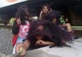 Anda Suka Hunting Foto? Ingat, Selfie di Sekitar Rel Kereta Api Dilarang dan Ada Ancaman Pidananya!