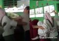 Disaksikan Murid-muridnya Sendiri, Guru ini Babak Belur Dikeroyok Orangtua Murid, Ruangan Kelas pun Penuh Tangisan