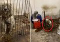 Miris, Anjing Ini 'Dibuang' hingga Jadi Gembel oleh Pemiliknya karena Dianggap Sudah Tidak Lucu Lagi