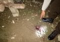 Mendengar Suara dari Dalam Tanah, Wanita Ini Temukan Bercak Darah saat Menelusurinya, Saat Dibongkar Inilah Isinya