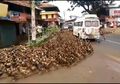 Video Detik-detik Jalanan Macet Karena Puluhan Bebek Menyeberang Jalan, Lebih Disiplin dari Manusia!