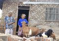 Kisah Menyedihkan Dua Lansia yang Viral Tinggal di Kandang Kambing, Tidur Beralaskan Dipan Kayu