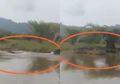 Ngeri! Viral Penampakan Buaya Raksasa Terekam Video di Sungai Beremas Padang, Netizen : Kata Warga Setempat Buaya Disana Nggak Jahat Kok