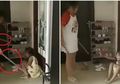 Keluarga Sadis! Seorang Ibu Tega Pukuli 3 Anaknya Pakai Tongkat Hingga Meronta-ronta, Sang Ayah Justru Mengizinkan dan Merekam Aksi Keji Sang Istri