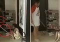 Viral Video 'Ibu' Siksa Anak-anaknya, 'Suaminya' Malah Asyik Merekam dan Menyuruh untuk Terus Memukul