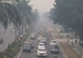 Kabut Asap Makin Parah Kepung Riau, Warga yang Makin Khawatir Hingga Aktivis Ingatkan Jokowi untuk Turun Lapangan